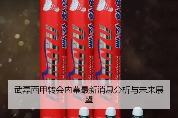 武磊西甲转会内幕最新消息分析与未来展望