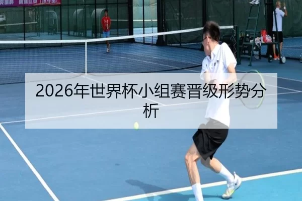 2026年世界杯小组赛晋级形势分析