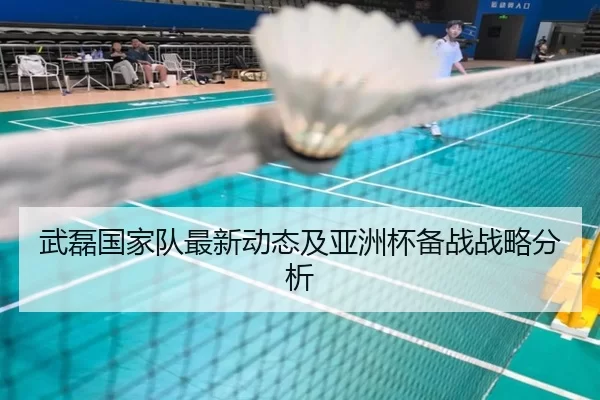 武磊国家队最新动态及亚洲杯备战战略分析